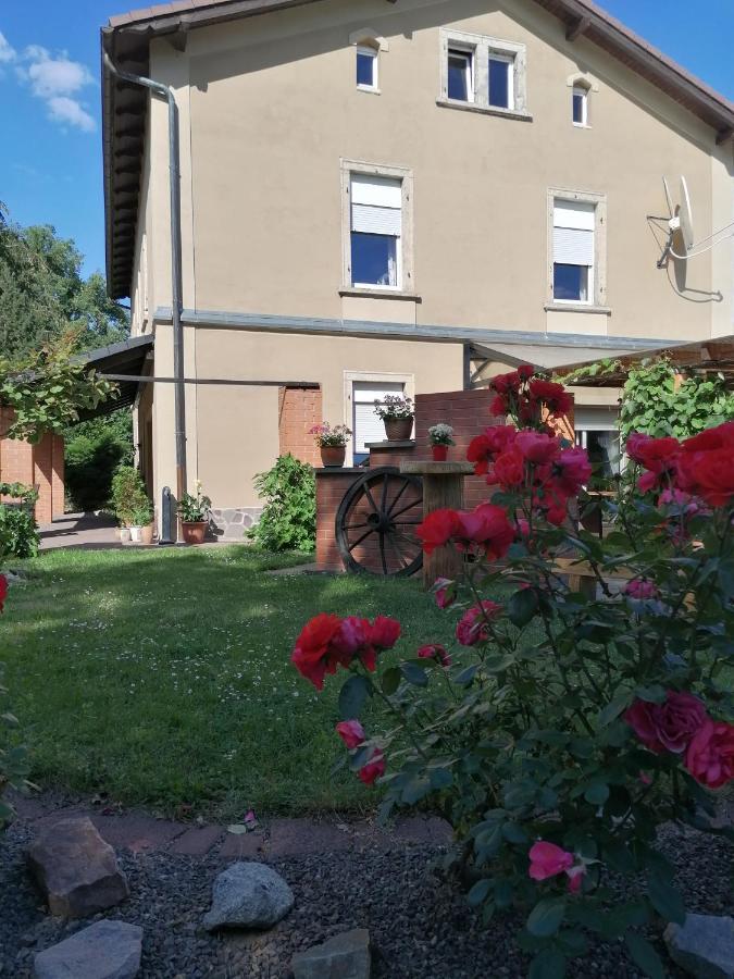 Monteurunterkunft Maria Freital Exterior foto